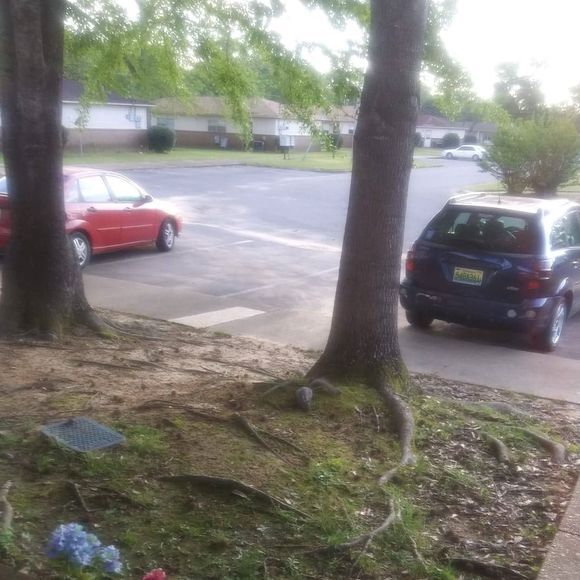 Meet your Posher, Frances - Picture 1 of 1